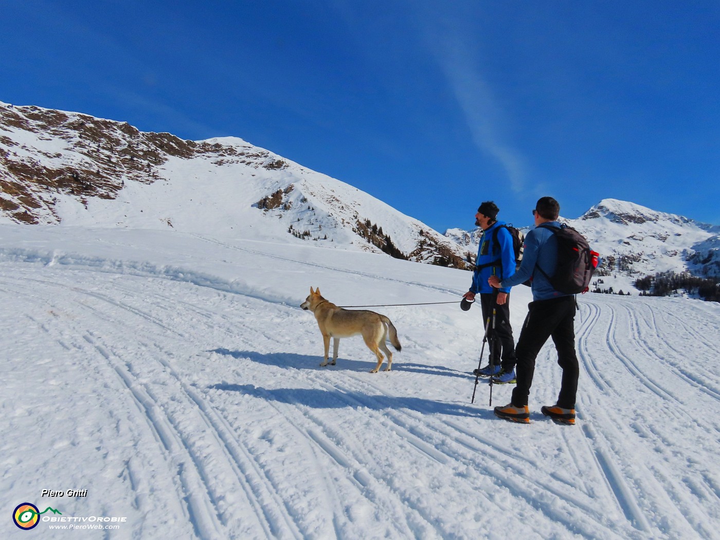 22 Bianca neve, cielo blu.JPG